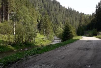 Teren de 2 mp, în Iedu - 8