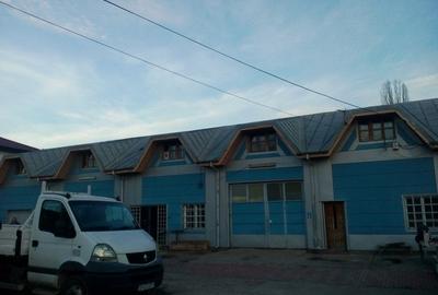 Vanzare teren cu hala industriala Pallady