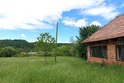 Teren agricol extravilan de 16000 mp, în Borlovenii Noi - 18