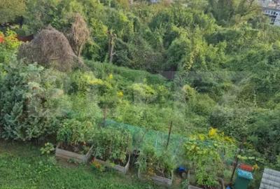 Casă cu 3 camere cu Teren 262 Mp în Platou - 14