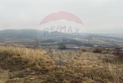 Teren agricol extravilan de 544 mp, în Pădureni (Chinteni) - 1