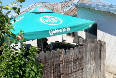 Casă cu 3 camere în Golești - 1