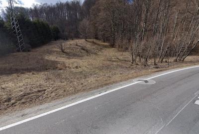 Teren Construcții intravilan de 4223 mp, în Cheia - 2