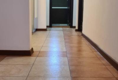 APARTAMENT DE INCHIRIAT STR PODGORIILOR - 12