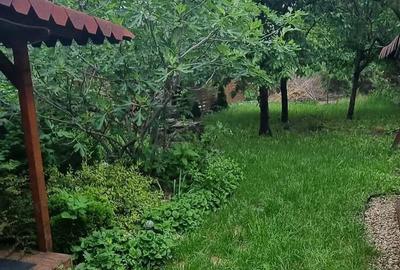 Casa individuala 4 camere, 480mp teren, Brancoveanu/Elisabetin - 3