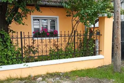 Casă cu 3 camere în Sânmartin - 6