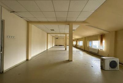 Spațiu industrial, de 700 mp, în Metalurgie - 13