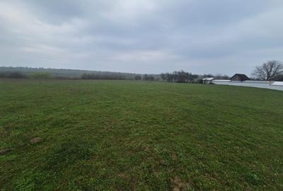 Teren extravilan de 2200 mp, în Lipoveni - 1