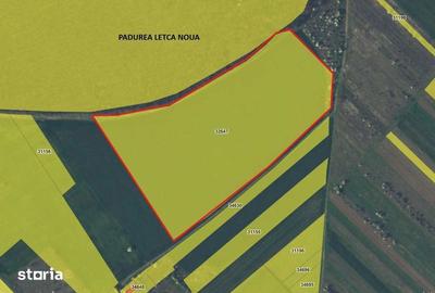 Teren de 40000 mp, în Letca Nouă - 4