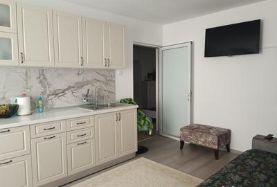Pacurari-Moara de Foc-ap.3 camere, decomanat,curat,mobilat si utilat,64m2! - 2