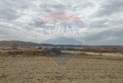 Teren de 11900 mp, în Fârdea - 9