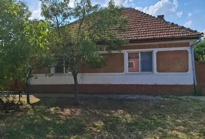 Vand casa in sat Brestea,com Denta,Timis - 1