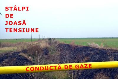 Teren extravilan 83500mp in Mihaile?ti, Giurgiu - 4