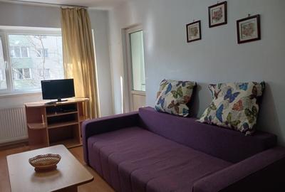 Colentina-Strada Cremenita, garsoniera de inchiriat - 2