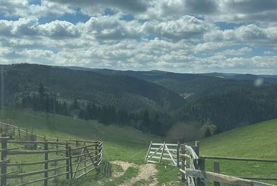 Spațiu comercial, în Măguri - 3