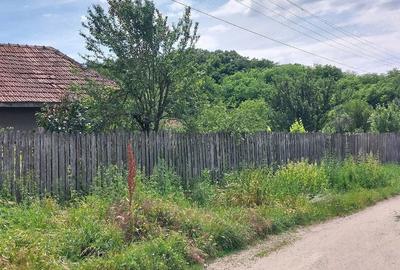 Casă cu Teren 2600 Mp în Central - 3