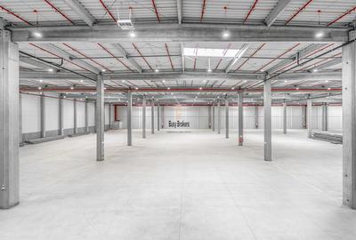 Spatiu Industrial - 5000 mp - Logistica - Productie - Depozitare - Distributie - 2