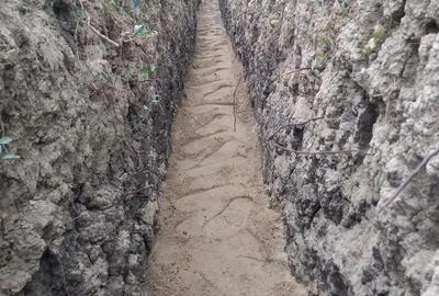 Teren de 6500 mp, în Petrești - 2