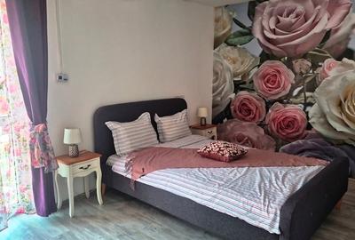 Apartament cu 2 camere decomandat, mobilat în Romană - 4