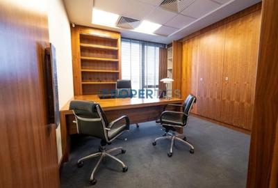 Birou, de 363 mp, în Herăstrău - 3