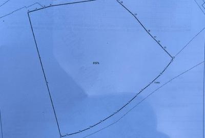 Teren Construcții intravilan de 5653 mp, în Cugir - 2