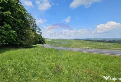 Teren de 7000 mp, în Ilișești - 2