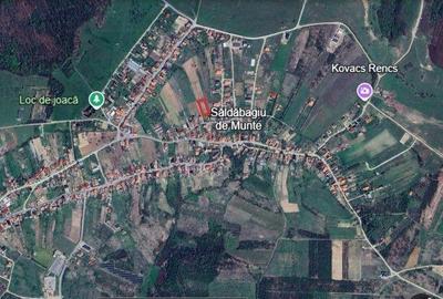 Teren de 1100 mp, în Paleu - 4