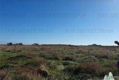 Teren intravilan constructii Costinesti -Schitu - 4