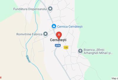 Proprietate specială, 1105 mp în Cernătești