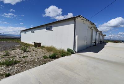 Hala noua depozitare/productie/logistica, zona Prejmer, 1200mp - 4