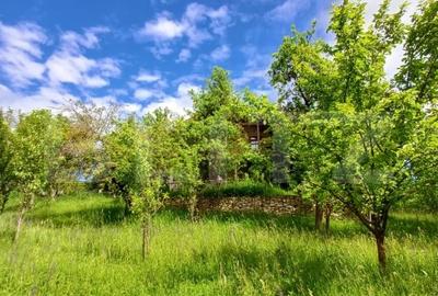 Casa 3 camere si teren 4873 mp  in Pietroasa, Moldovenești - 17