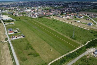 Teren Construcții extravilan de 10000 mp, în Moșnița Nouă - 6