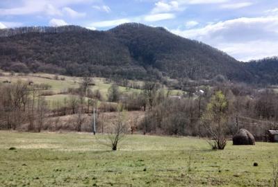 Casă cu 3 camere în Nojag - 8