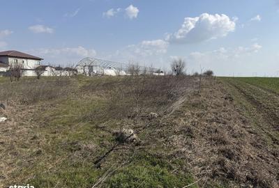 Spațiu comercial, în Pasărea - 3