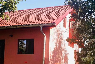 Comuna Marzanesti, sat Valea Parului, str Lalelelor, Teleorman - 17