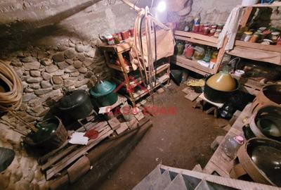 Casă cu 4 camere cu Teren 547 Mp în Măgureni - 10