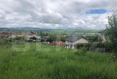 Teren de 10656 mp, în Central