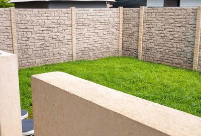 Apartament cu 2 camere semidecomandat în Olteni - 5