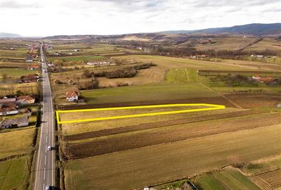 Teren Construcții intravilan de 2900 mp, în Borod - 3