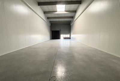 Spațiu industrial, de 255 mp, în Vest - 16