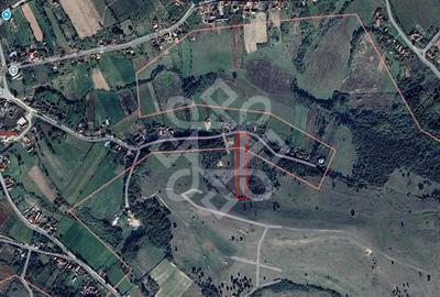 Teren intravilan 5995 mp de vanzare in Hidiselu de Sus - 3