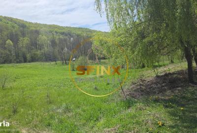 Spațiu comercial, în Furești - 4