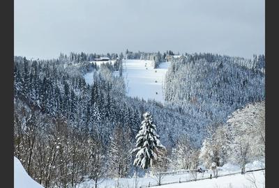 Hotel/Pensiune, de 188 mp, în Central - 17