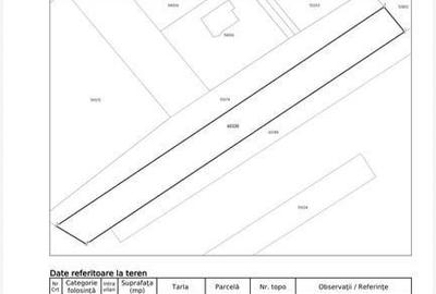 Teren de 6000 mp, în Ciolpani - 2