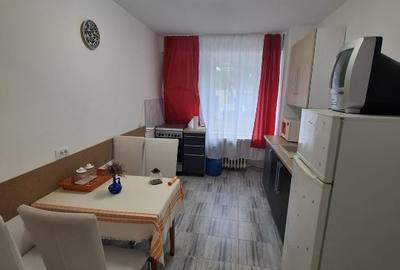 Inchiriez apartament spatios cu o cameră in Oradea, zona Dimitrie Cantemir - 2