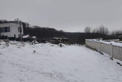 Spațiu comercial, în Făget - 4