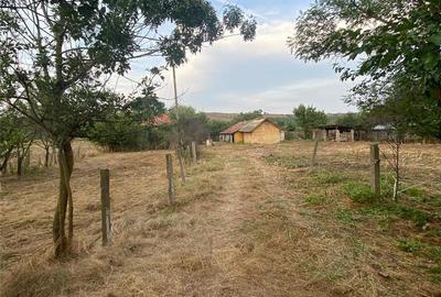 Casă cu 6 camere în Sprâncenata - 8