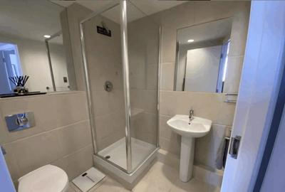 Apartament cu 2 camere de inchiriat in zona Lujerului - 9