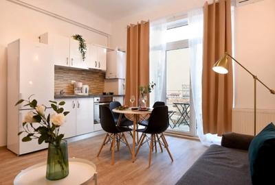 Apartament pe Armenească , regim hotelier - 5