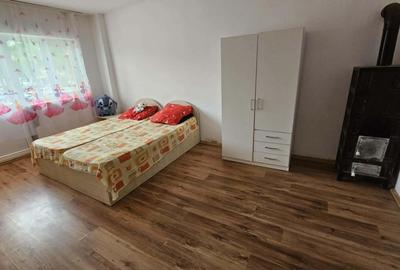 Apartament cu 2 camere decomandat în Bala de Sus - 7